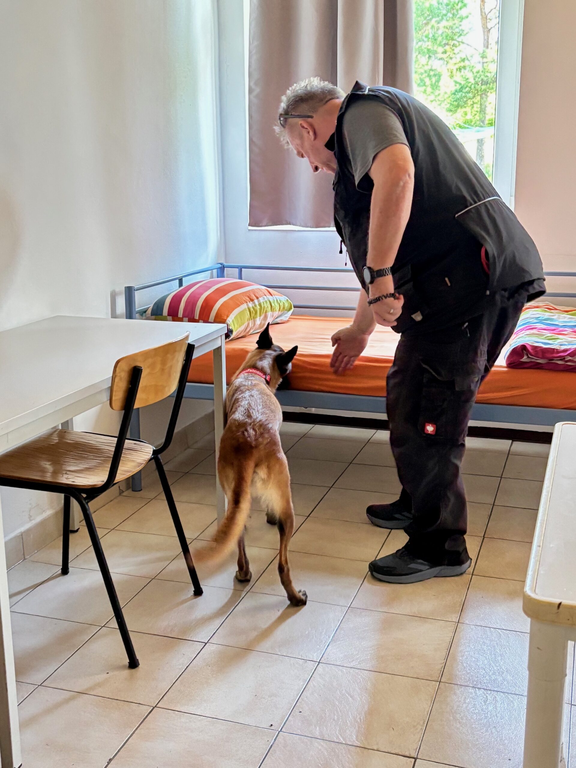 Bettwanzenfahnder im Einsatz